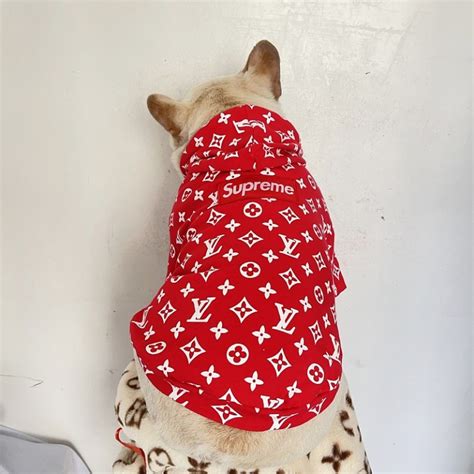 fake louis vuitton dog sweater|louis vuitton dog wardrobe.